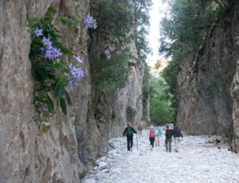 From Kalamata: Ridomo Gorge Hiking Tour With Greek Coffee - Tour Overview