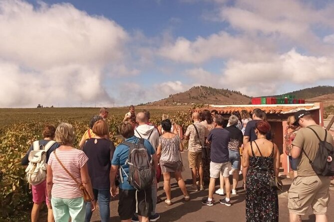 Gastro Wine Tour South Tenerife - Key Points