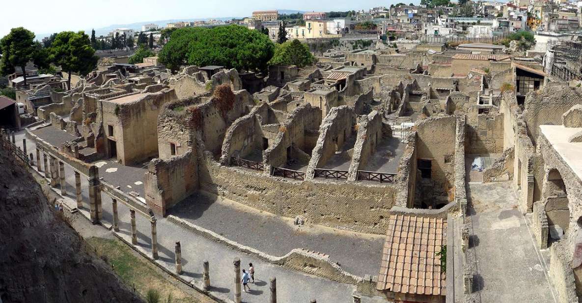 Herculaneum: 2-Hour Private Tour of the Ruins - Key Points