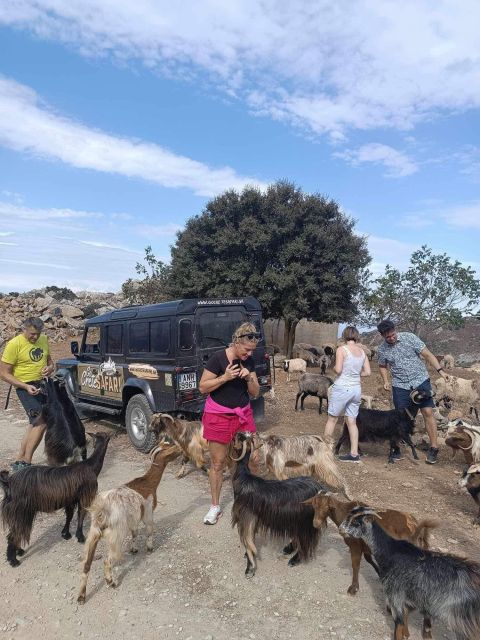 Malia: Land Rover Safari Lasithi Plateau and Zeus Cave - Tour Highlights