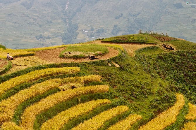 Sapa Motorbike Tour 1 Day See All Of Rice Fields & Valleys in One Day - Tour Overview