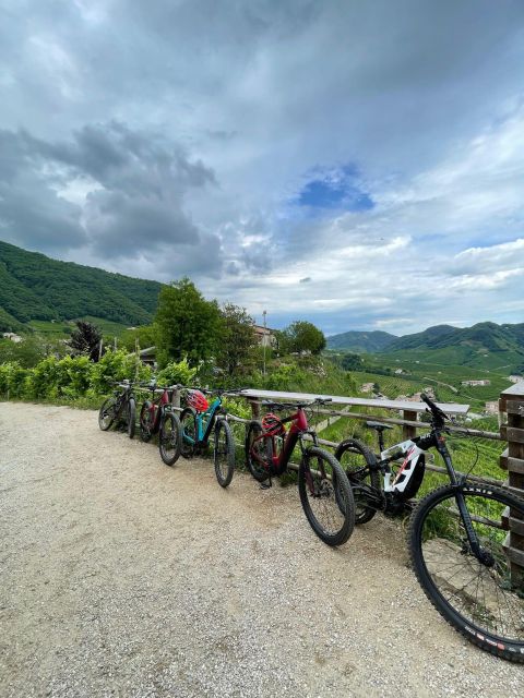 Valdobbiadene Hills: E-Bike Tour With Food&Wine Tasting - Key Points