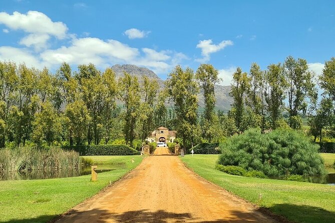 Wine Tasting in Cape Winelands Tour - Tour Overview