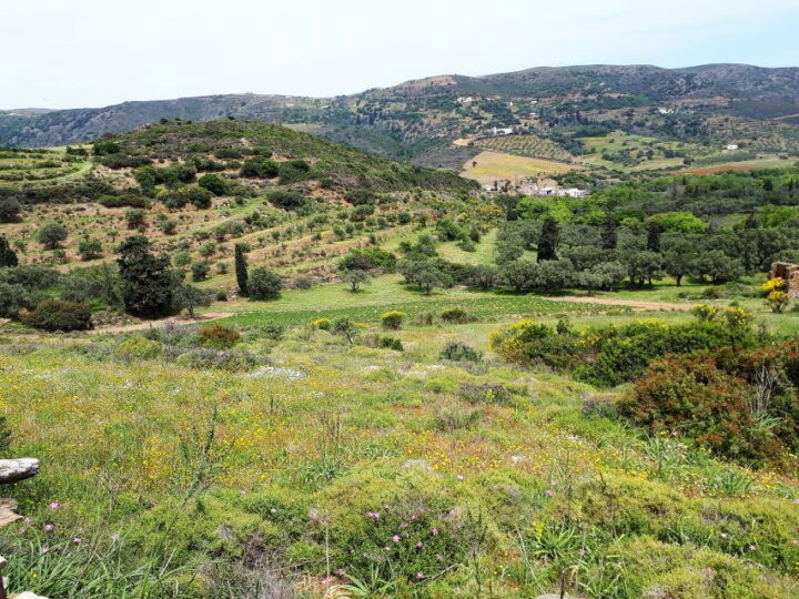 1 andros watermills guided hiking tour Andros Watermills Guided Hiking Tour