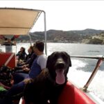 1 snorkeling trip with motor boat around agia pelagia Snorkeling Trip With Motor Boat Around Agia Pelagia