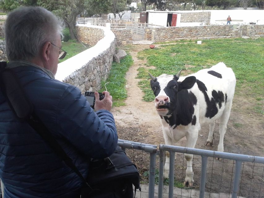 From Mykonos: Ano Mera Farm Tour - Tour Description