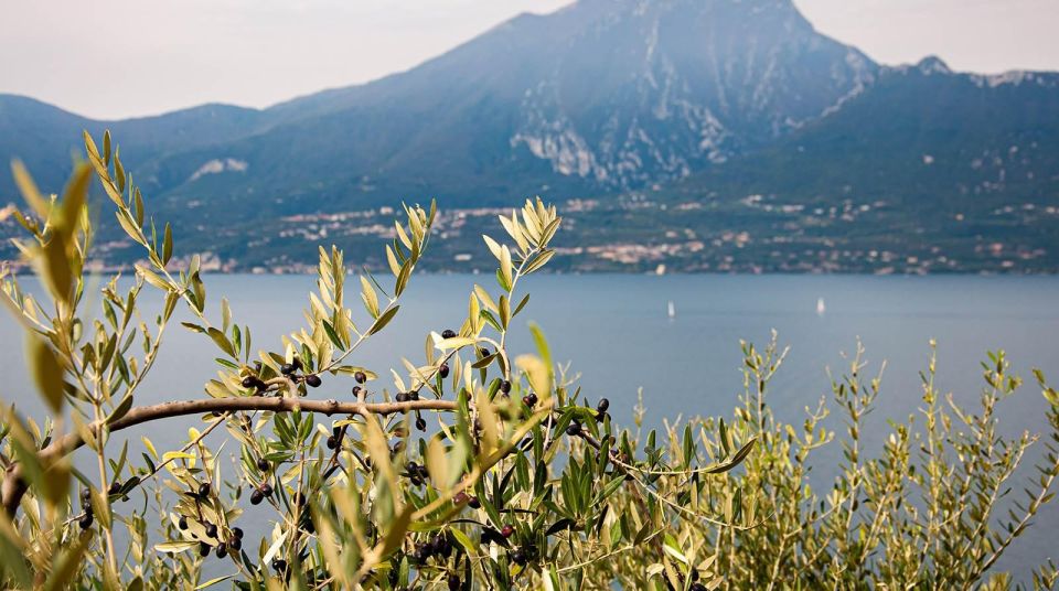 Lake Garda Nature, Cuisine, Culture and History. - Culinary Delights of the Region