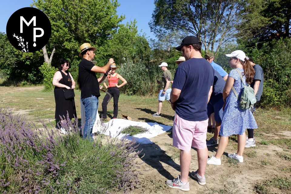 Lavender Field & Distillery Tour Between Nimes & Arles - Booking Information