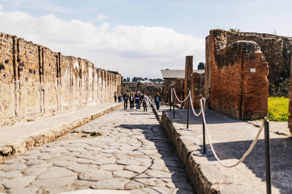 Naples: Pompeii and Mt. Vesuvius With Lunch and Wine Tasting - Important Information