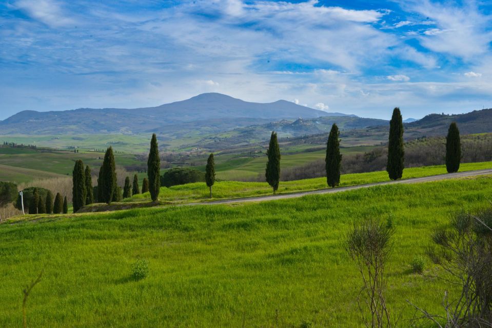 A Wine Bliss in Montalcino, Montepulciano, Val DOrcia - Meeting Point