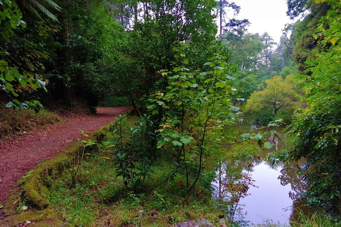 Bussaco Forest Walking Experience, Half Day From Coimbra - Safety Guidelines