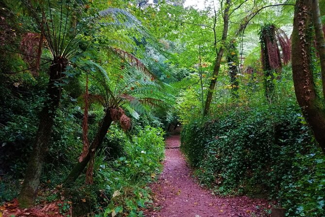 Bussaco Forest Walking Experience, Half Day From Coimbra - Contact and Support