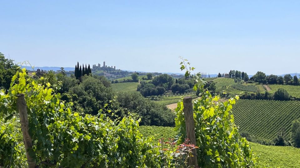 From Rome: Florence & Tuscany Day Tour by High-Speed Train - Meeting Point