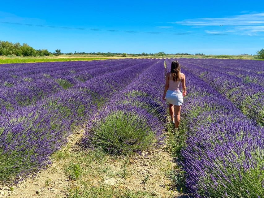 Lavender Field & Distillery Tour Between Nimes & Arles - Distillery Highlights