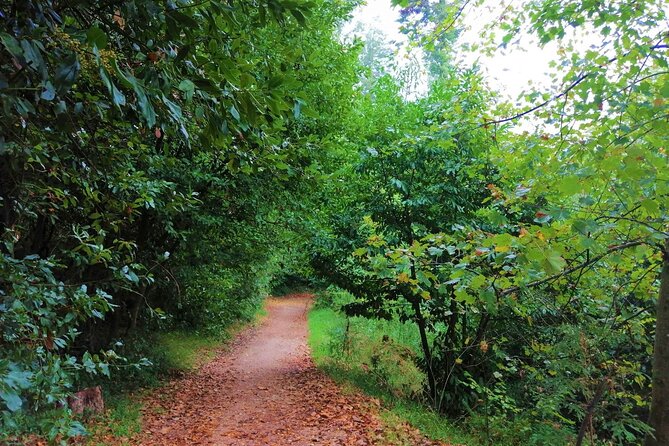 Bussaco Forest Walking Experience, Half Day From Coimbra - Common questions