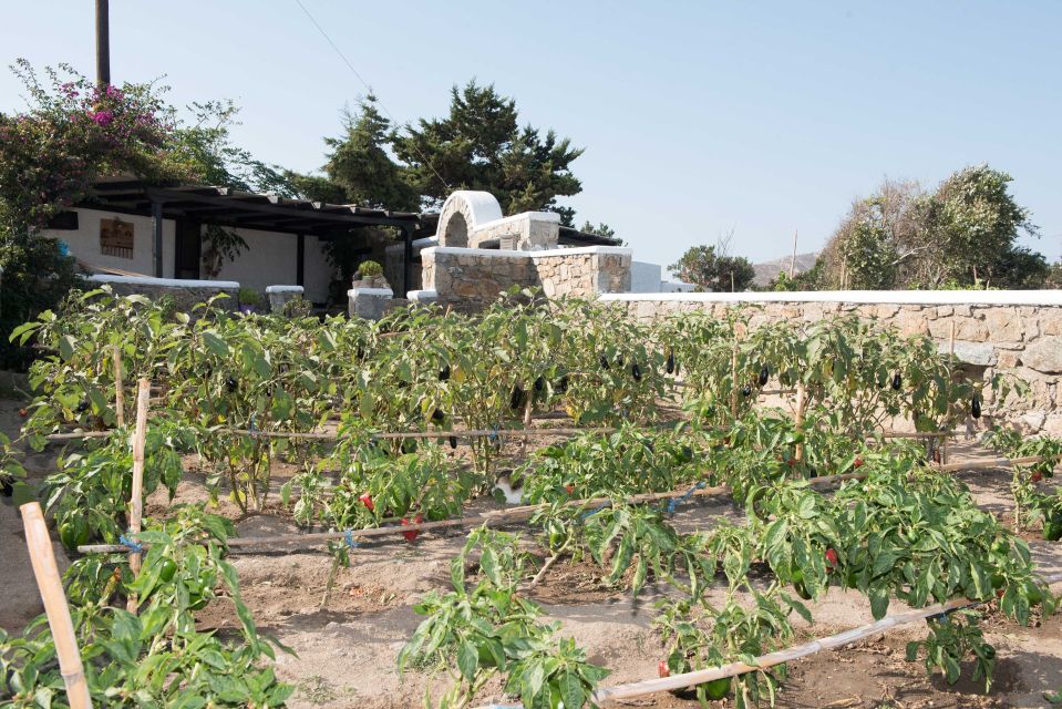 From Mykonos: Ano Mera Farm Tour - Common questions