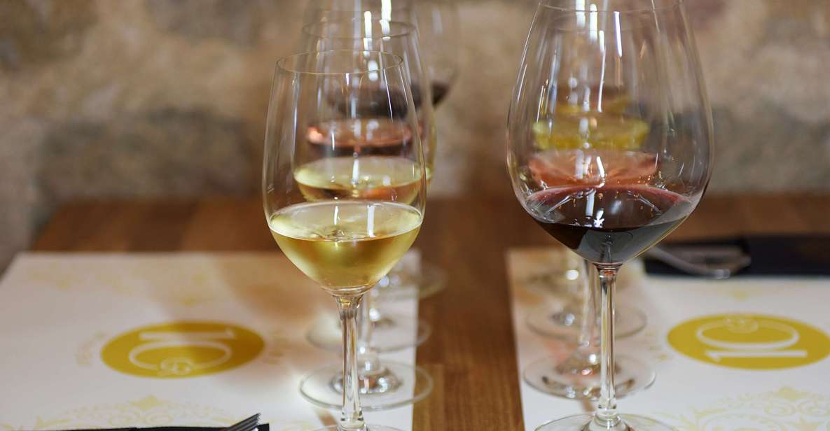 Rhodes: Private Wine Tasting Experience for Beginners - Last Words