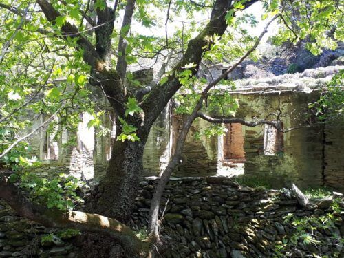 Andros Watermills Guided Hiking Tour - Last Words