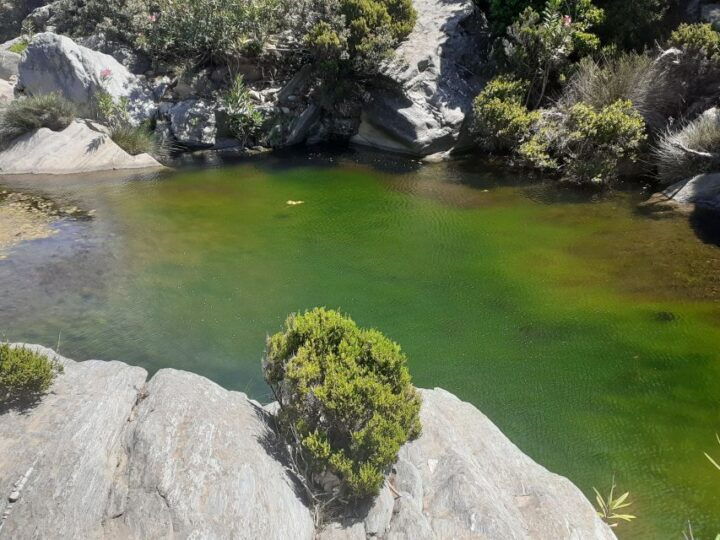 Andros Watermills Guided Hiking Tour - Tour Overview