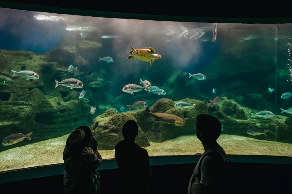 Heraklion Area: CRETAquarium Admission Ticket - Key Points