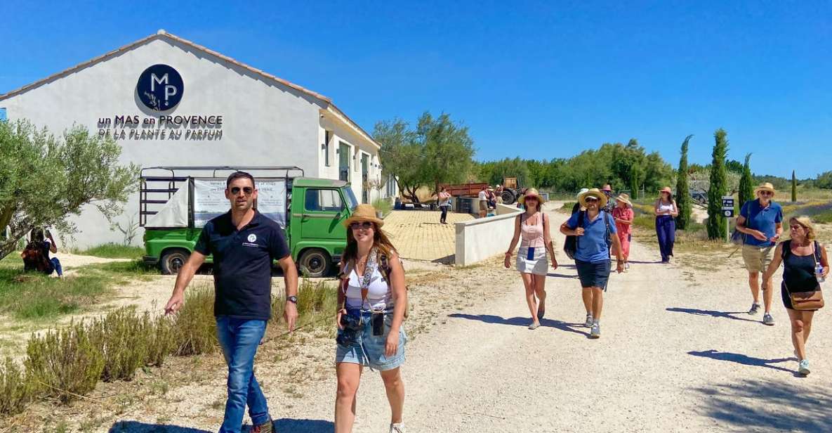 Lavender Field & Distillery Tour Between Nimes & Arles - Key Points