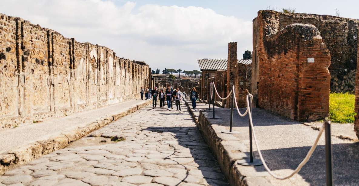 Naples: Pompeii and Mt. Vesuvius With Lunch and Wine Tasting - Key Points