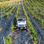 1 4x4 jeep vineyard safari tour with lunch and wine tasting 4x4 Jeep Vineyard Safari Tour With Lunch and Wine Tasting