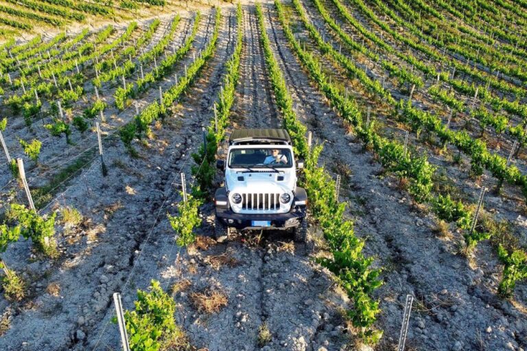 4×4 Jeep Vineyard Safari Tour With Lunch and Wine Tasting