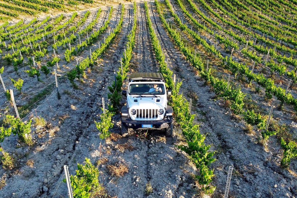 1 4x4 jeep vineyard safari tour with lunch and wine tasting 4x4 Jeep Vineyard Safari Tour With Lunch and Wine Tasting