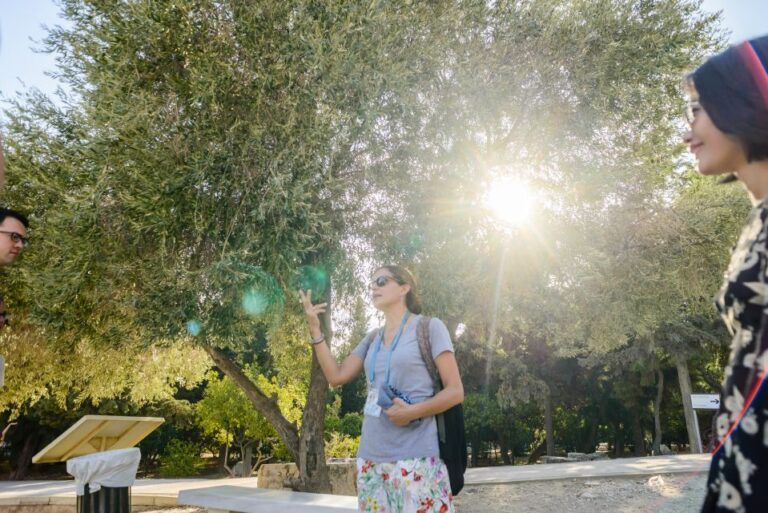 Acropolis: Acropolis and Parthenon Guided Walking Tour