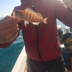 1 agrigento boat fishing near the coast for small groups Agrigento: Boat Fishing Near the Coast for Small Groups