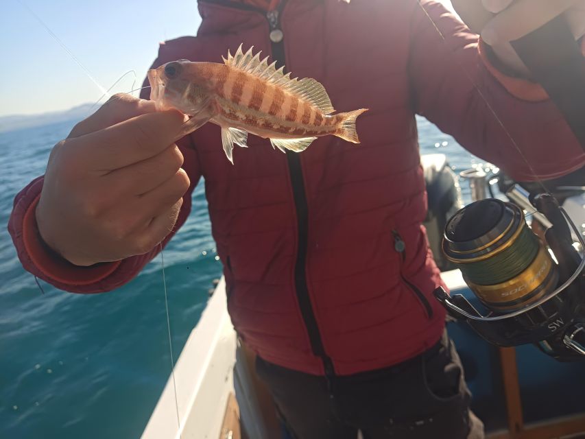 1 agrigento boat fishing near the coast for small groups Agrigento: Boat Fishing Near the Coast for Small Groups