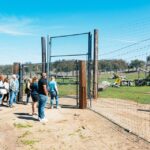 1 alpine lions tigers bears animal sanctuary guided visit Alpine: Lions Tigers & Bears Animal Sanctuary Guided Visit