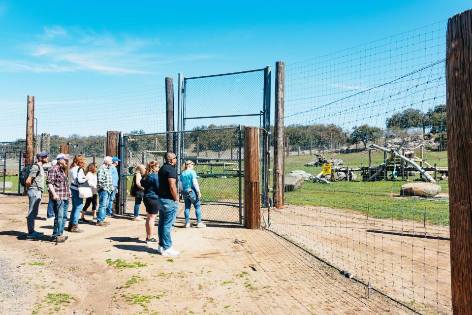 1 alpine lions tigers bears animal sanctuary guided visit Alpine: Lions Tigers & Bears Animal Sanctuary Guided Visit