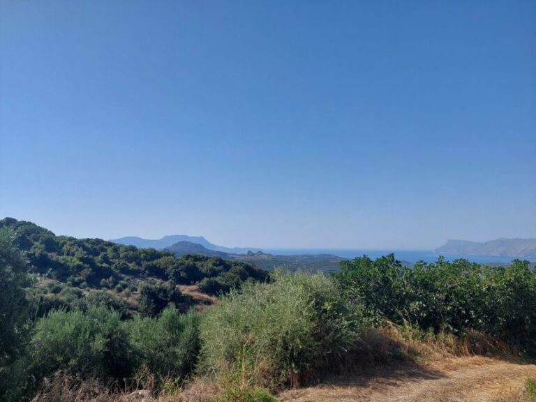 Chania: 5-Wine Tasting With Locals in Village Near Kissamos