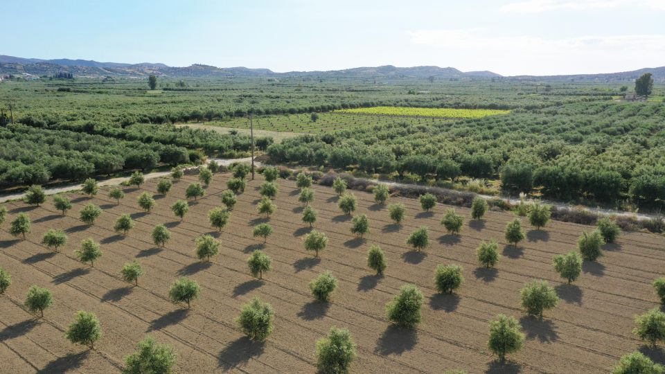 1 cretan farm tour with cheese making food picnic Cretan Farm Tour With Cheese-Making & Food Picnic