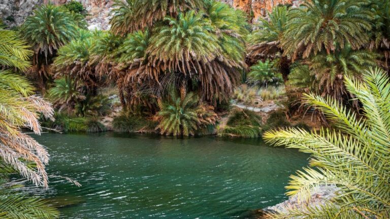 Crete: Preveli Tropical Beach