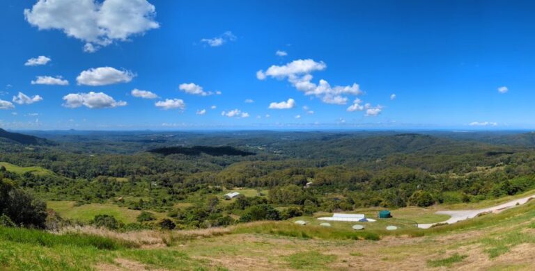 From Brisbane: Day Trip to Noosa, Eumundi Markets