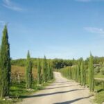 1 from florence private half day chianti tour wine tasting From Florence: Private Half-Day Chianti Tour & Wine Tasting