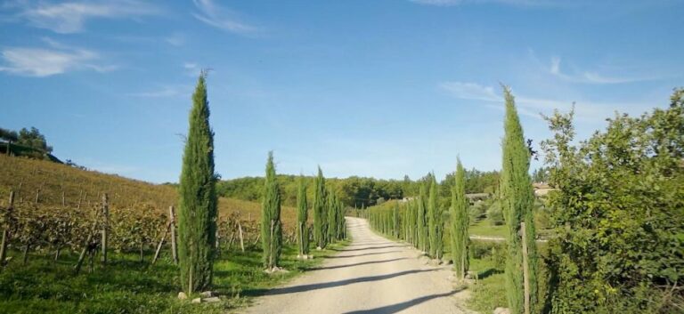 From Florence: Private Half-Day Chianti Tour & Wine Tasting