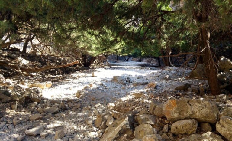 From Rethymno/Chania: Imbros Gorge Hike