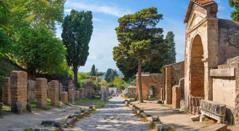 From Rome: Pompeii and Herculaneum Tour W/ High-Speed Train