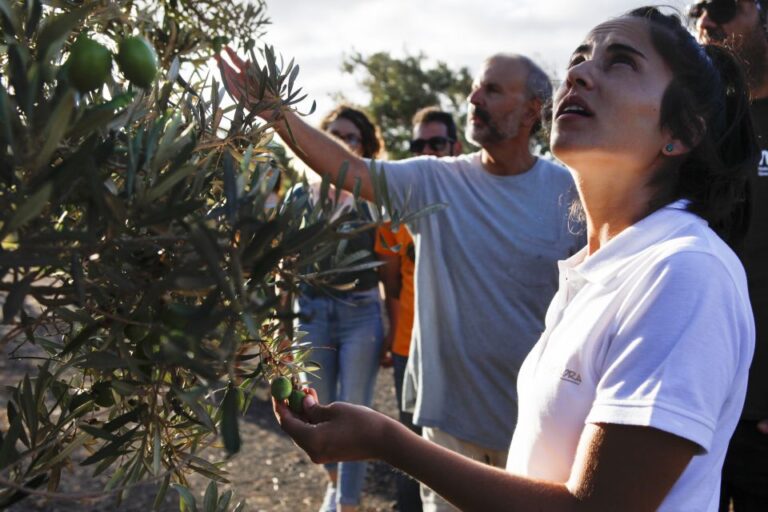 Fuerteventura Organic Farm Guided Tour W/ Optional Lunch