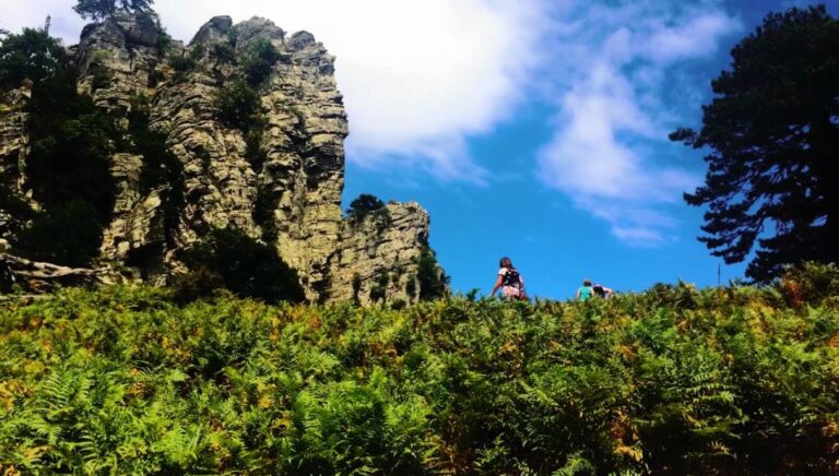 Jeep Safari in Thassos Mountain