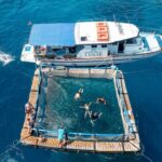 1 kamiros skala marine life experience by boat Kamiros Skala: Marine Life Experience by Boat