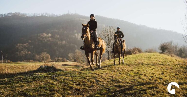 Lake Como: Horseback Adventure & Tasting With Amazing Views