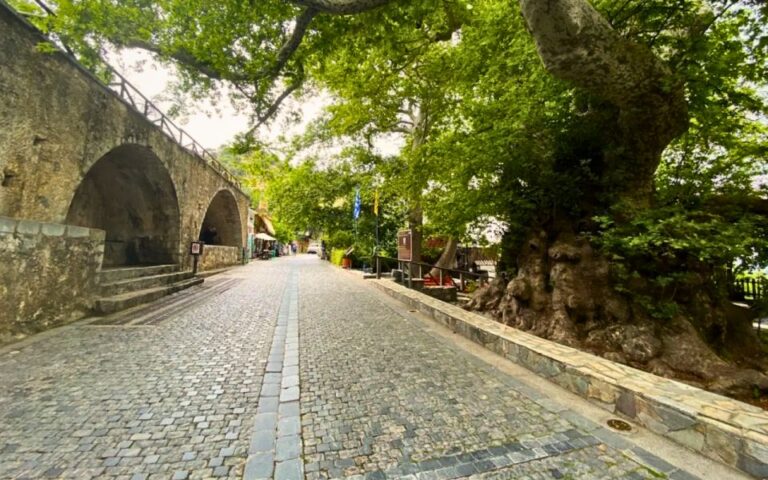 Lasithi Plateau, the Legendary Zeus Cave & Olive Oil Farm