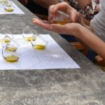 1 messenia olive oil experience 2 tour and food pairing Messenia: Olive Oil Experience 2 -Tour and Food Pairing