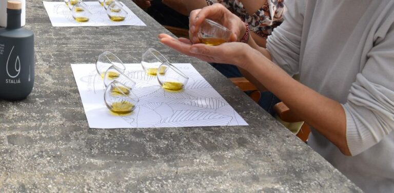 Messenia: Olive Oil Experience 2 -Tour and Food Pairing