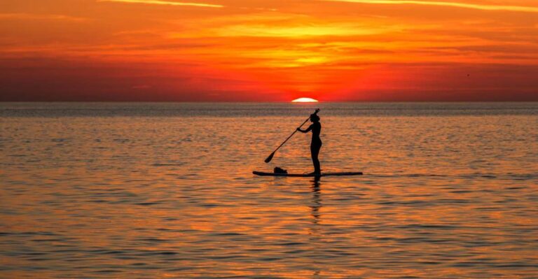 Paddle Board Rental: Glide on the Water With Ease